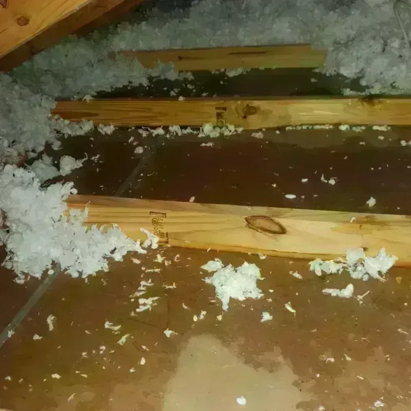 Attic Water Damage in West Blocton, AL